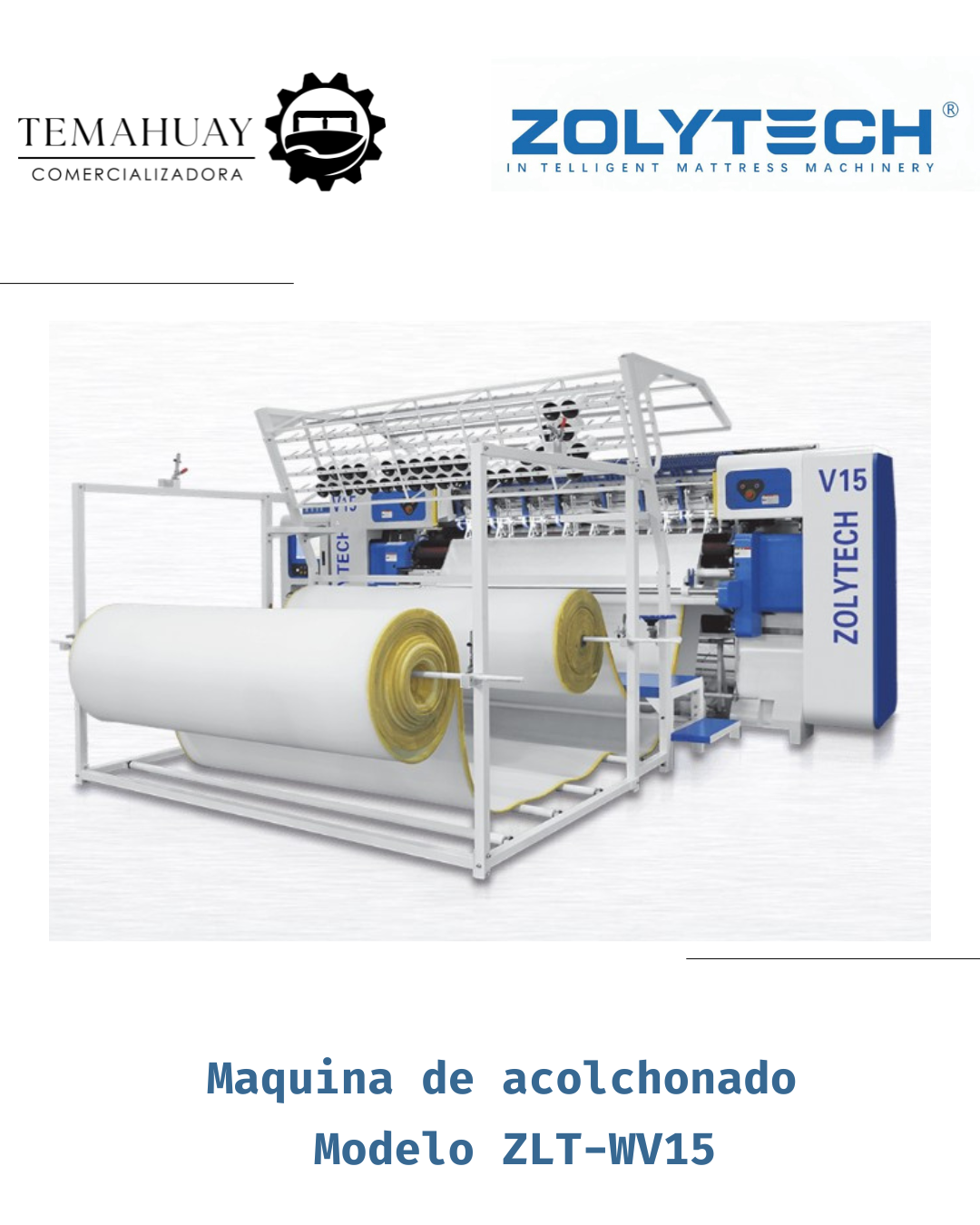 COMERCIALIZADORA TEMAHUAY