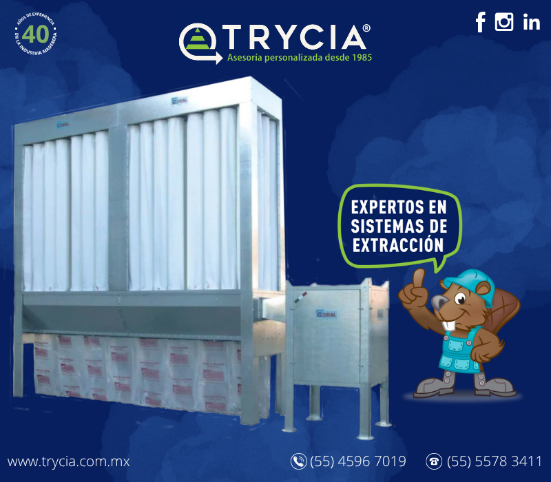 TRYCIA