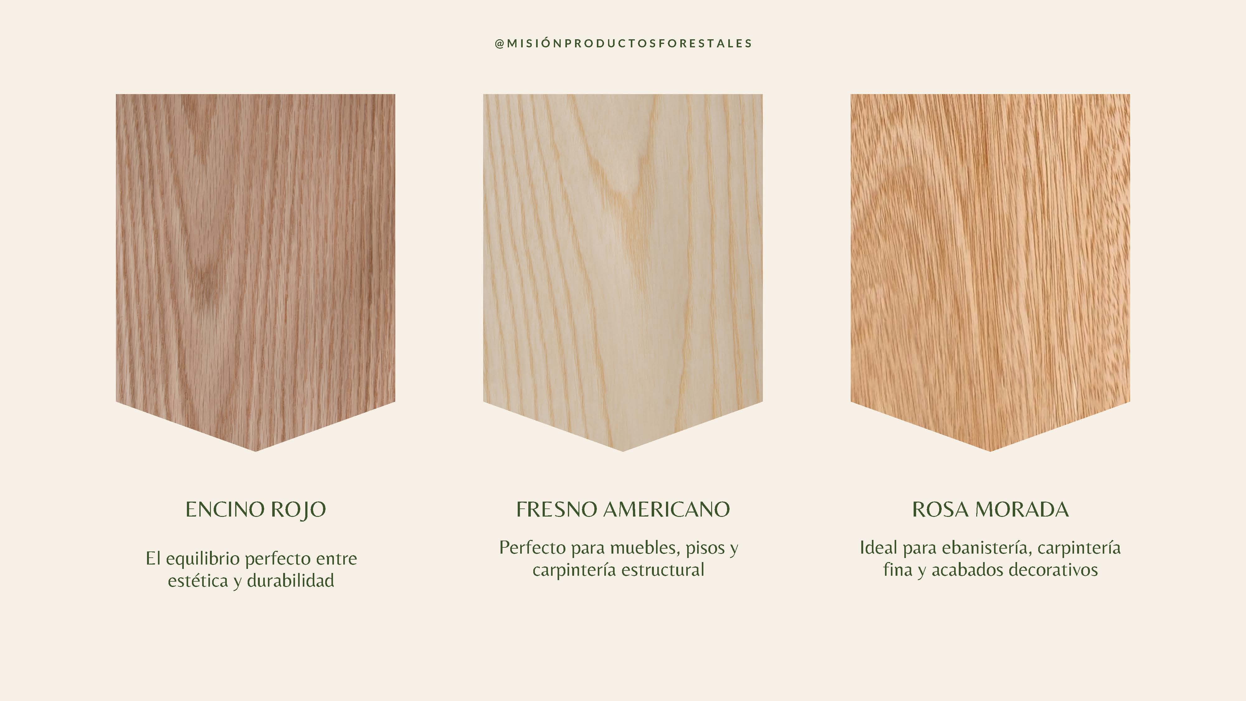 PRODUCTOS FORESTALES LA MISIÓN