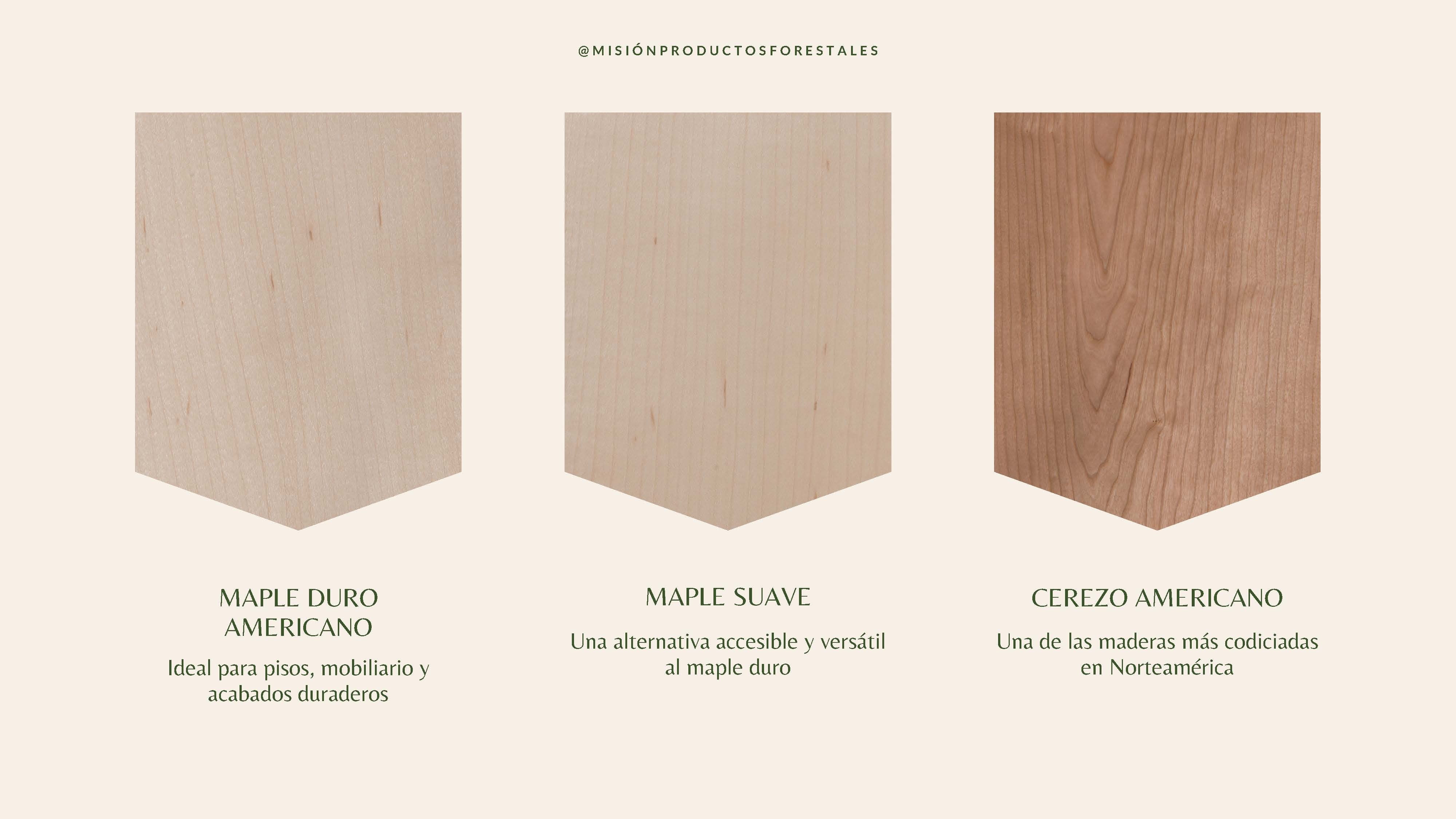 PRODUCTOS FORESTALES LA MISIÓN