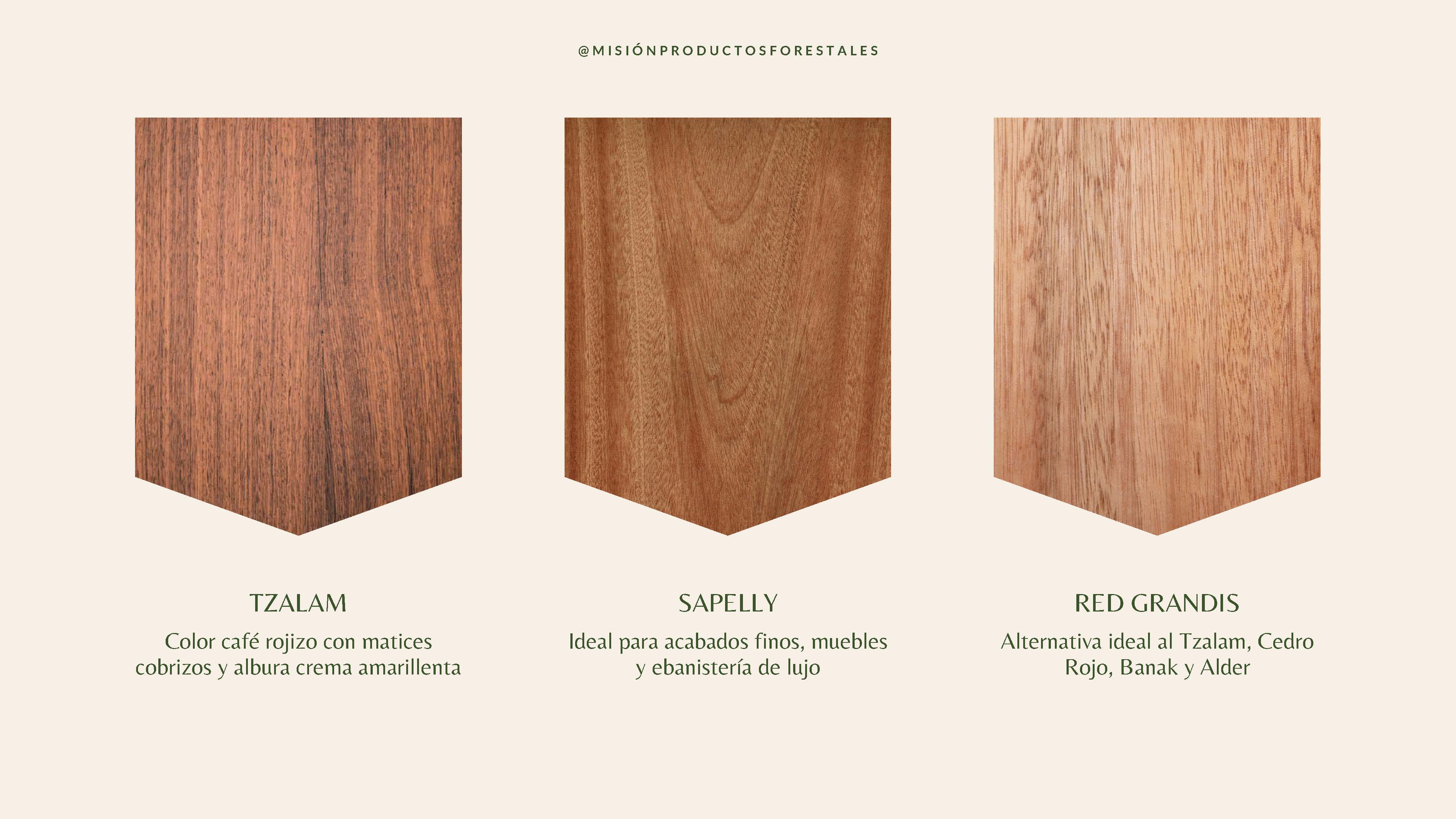 PRODUCTOS FORESTALES LA MISIÓN