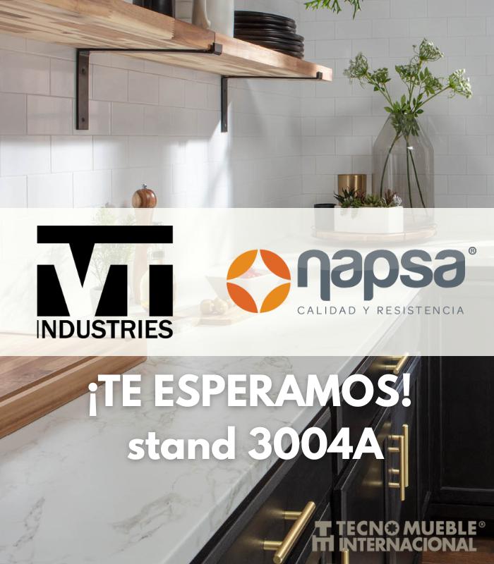 NAPSA de México & VT Industries