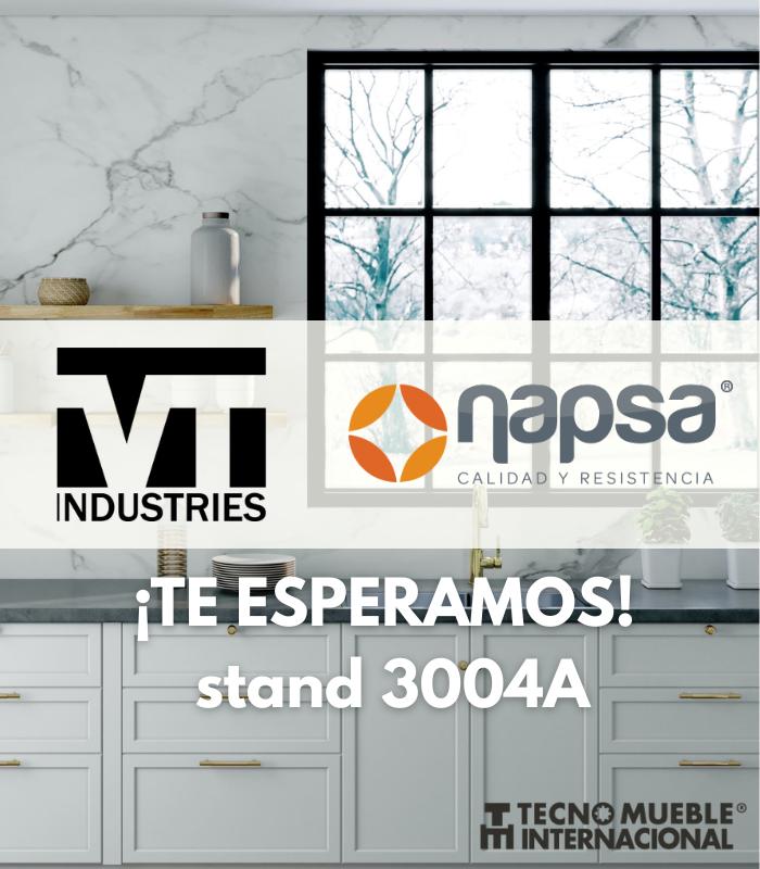 NAPSA de México & VT Industries