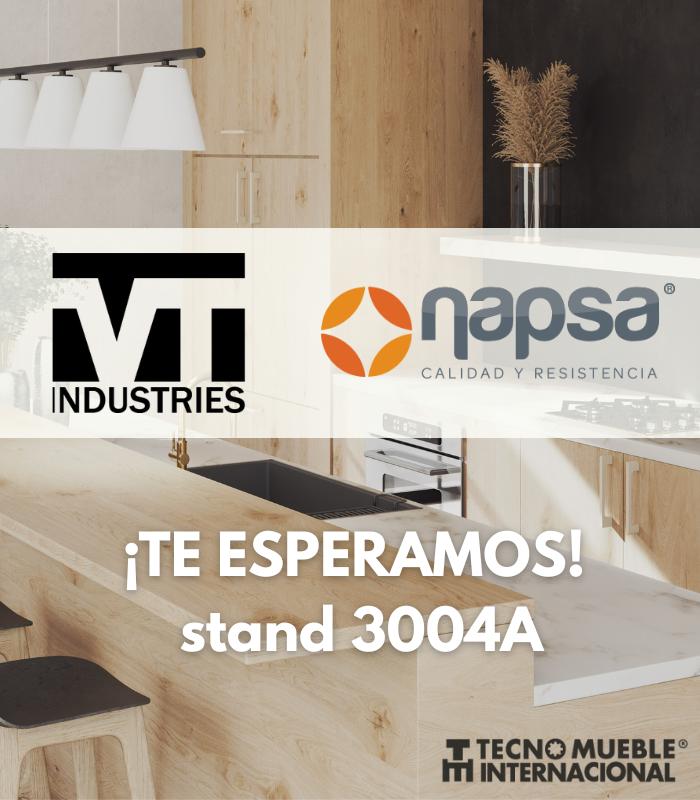 NAPSA de México & VT Industries
