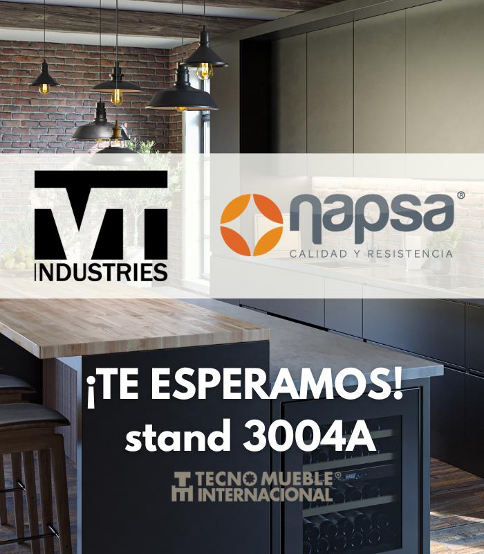 NAPSA de México & VT Industries