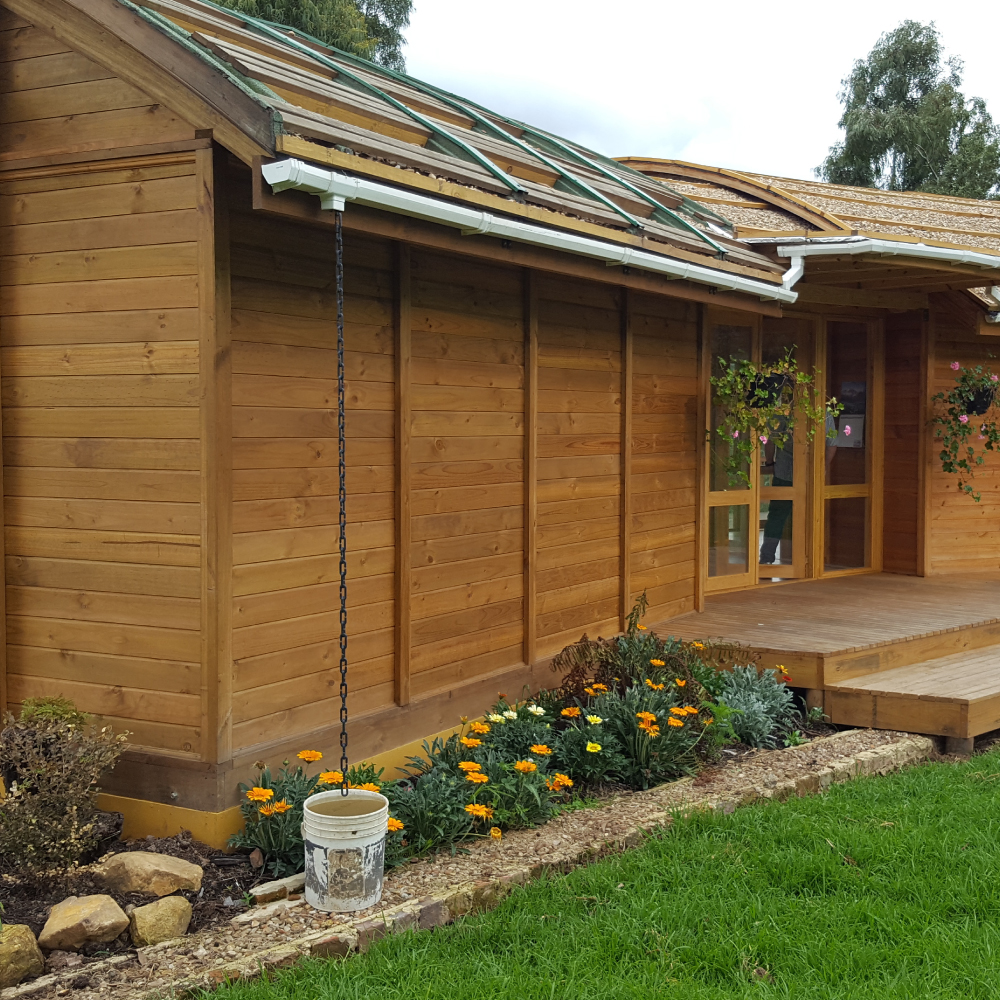 American Softwoods Latam