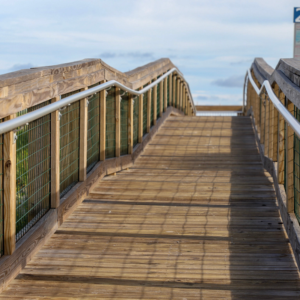 American Softwoods Latam