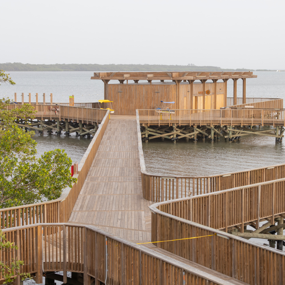 American Softwoods Latam