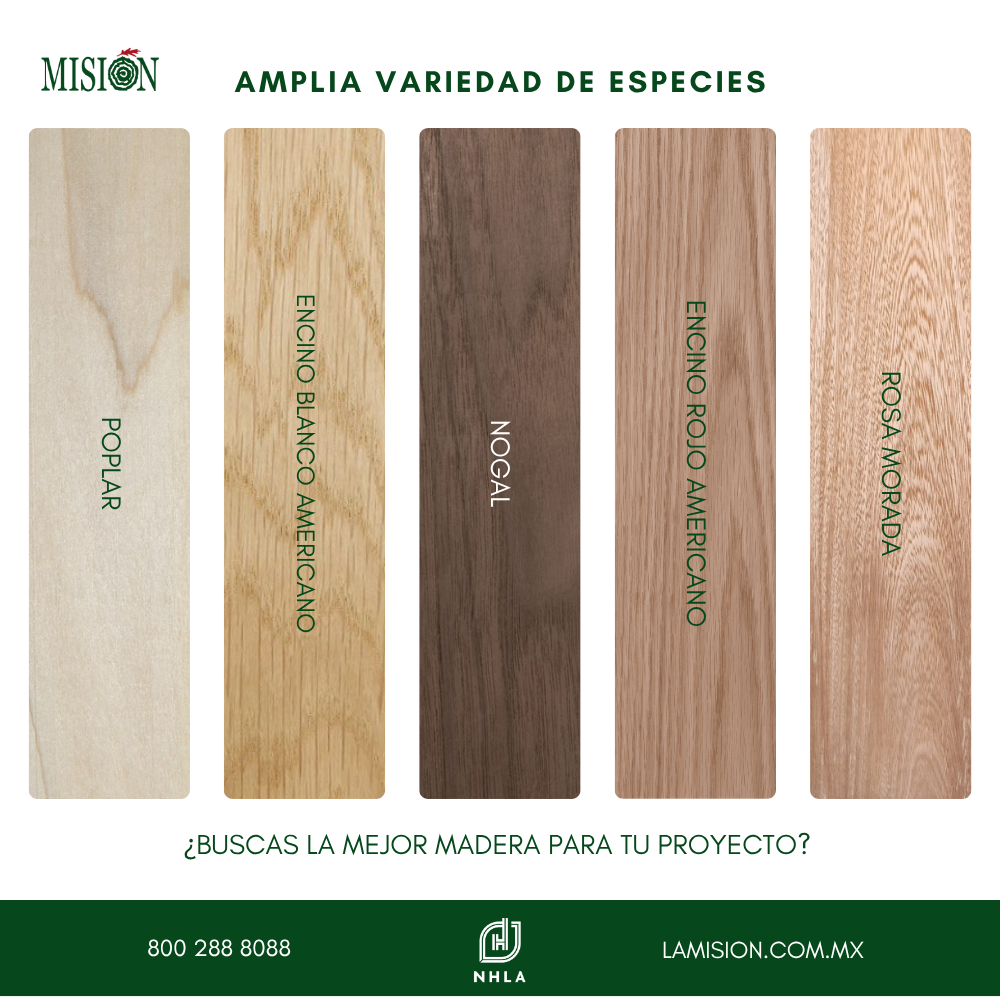 GRUPO FORESTAL LA MISION