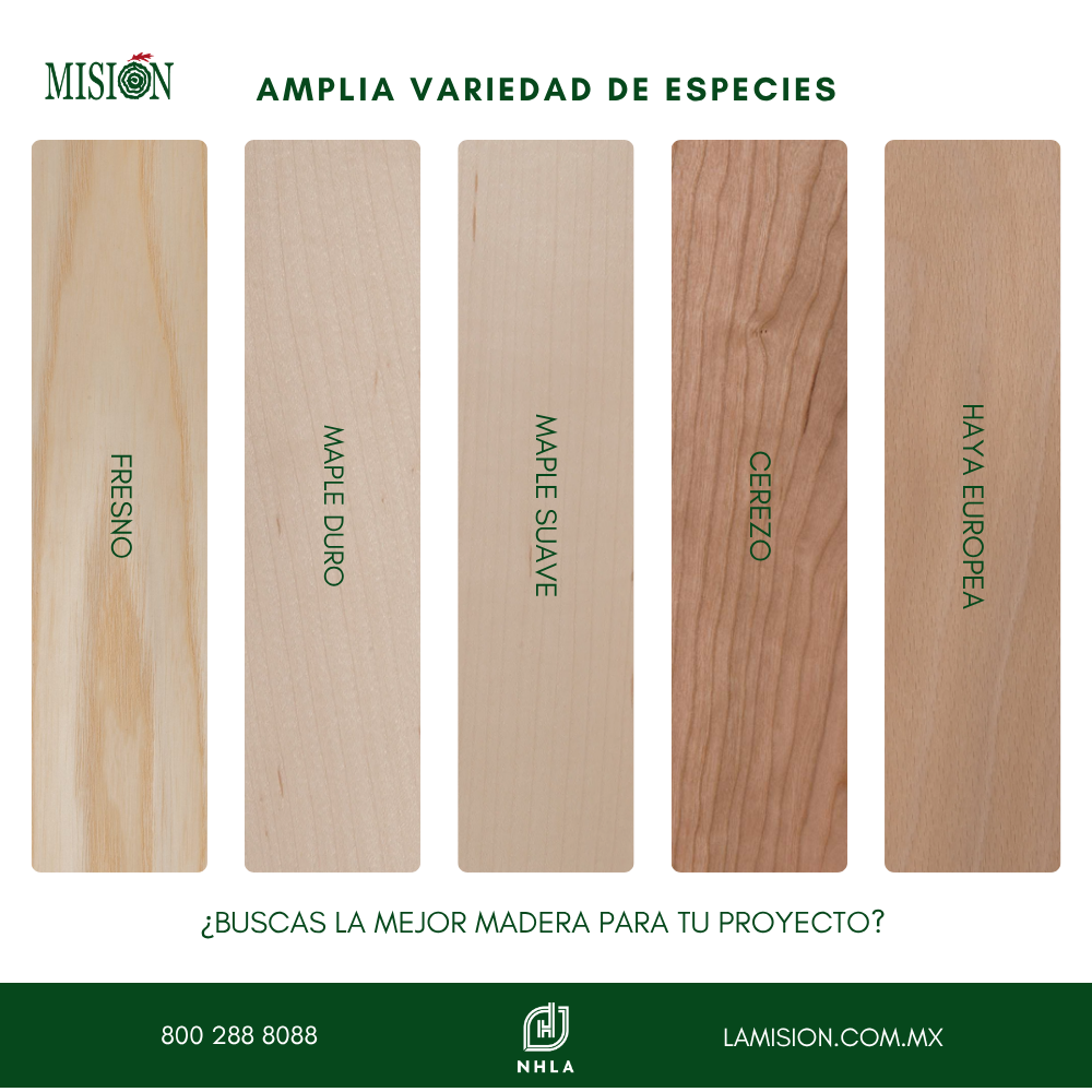 GRUPO FORESTAL LA MISION