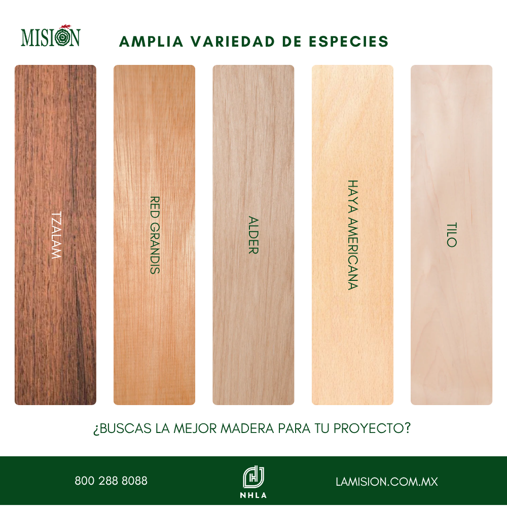 GRUPO FORESTAL LA MISION