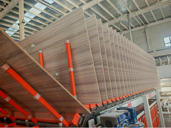 LINYI DINGYU IMPORT&EXPORT Co., LTD