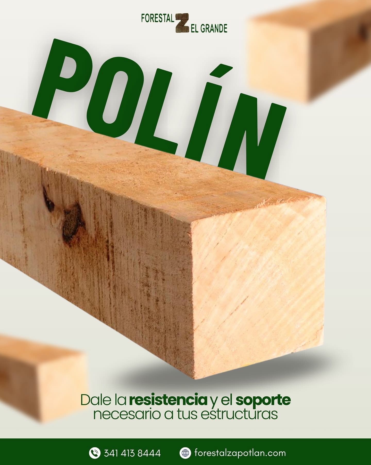Forestal Zapotlan
