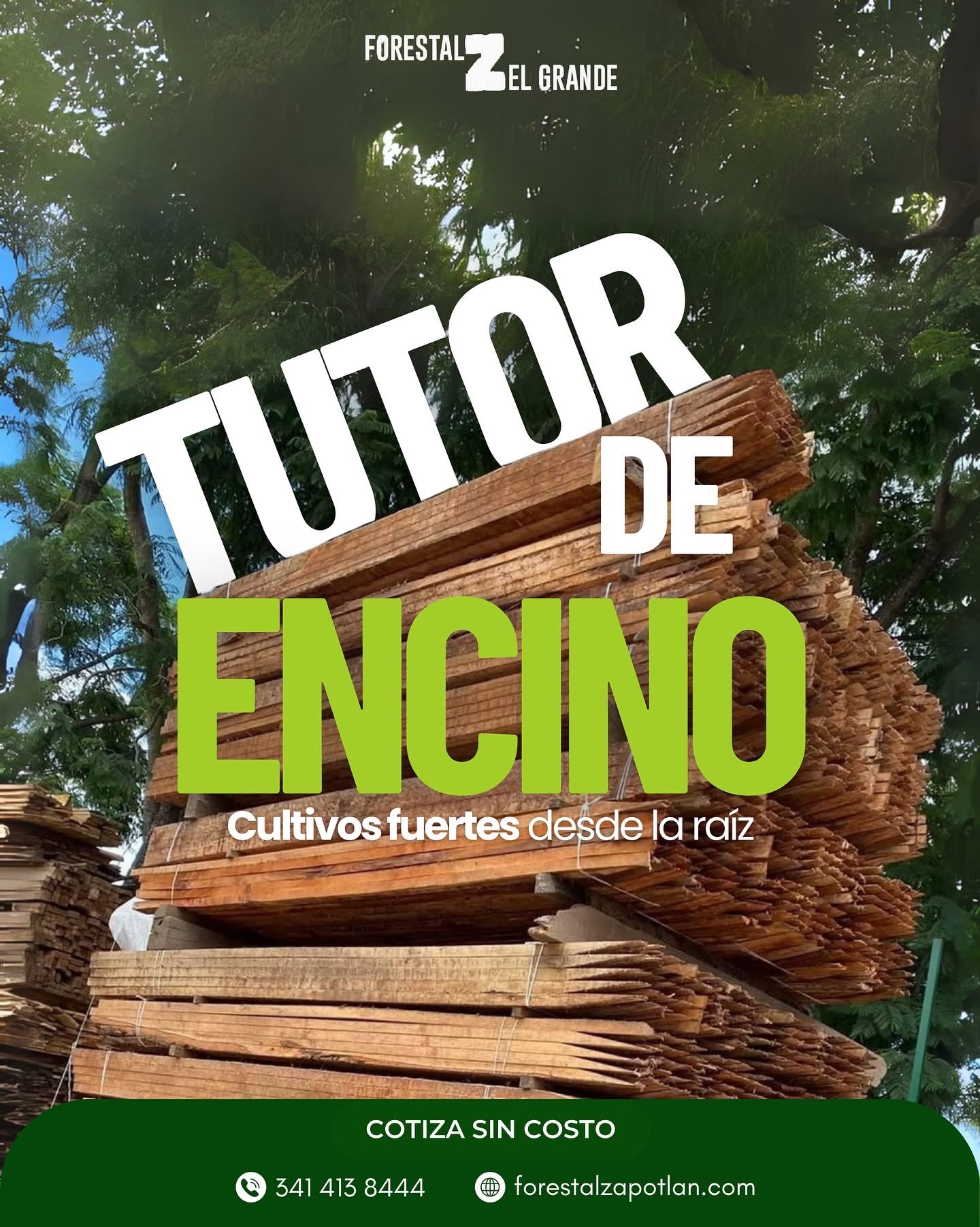 Forestal Zapotlan
